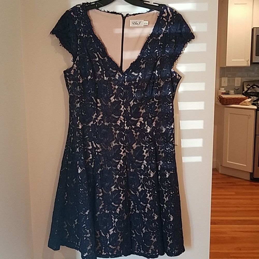 Eliza J Navy Lace Dress